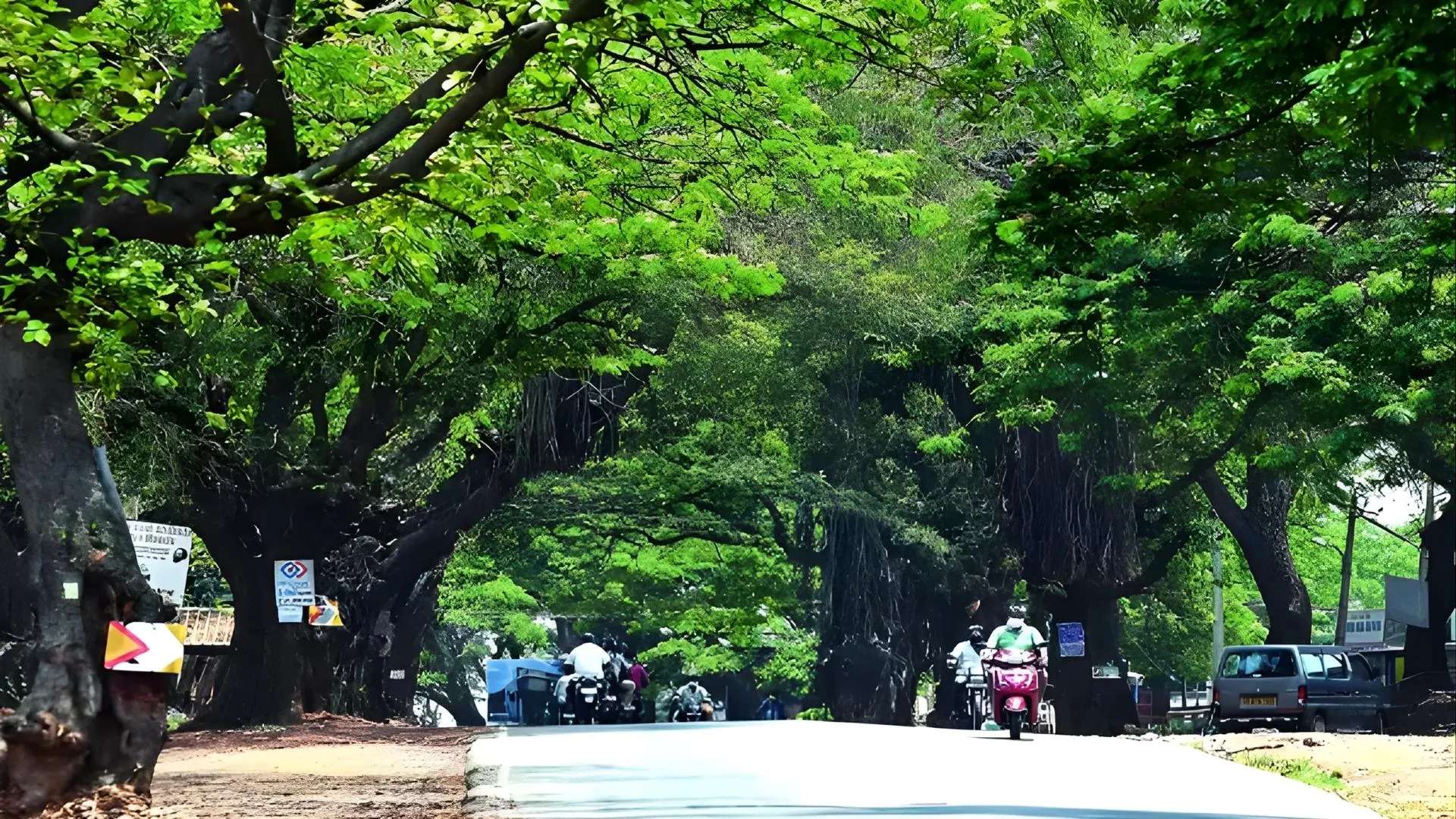 Kanakapura Road and Outskirts